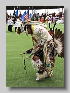 Hinckley PowWow 2009 27